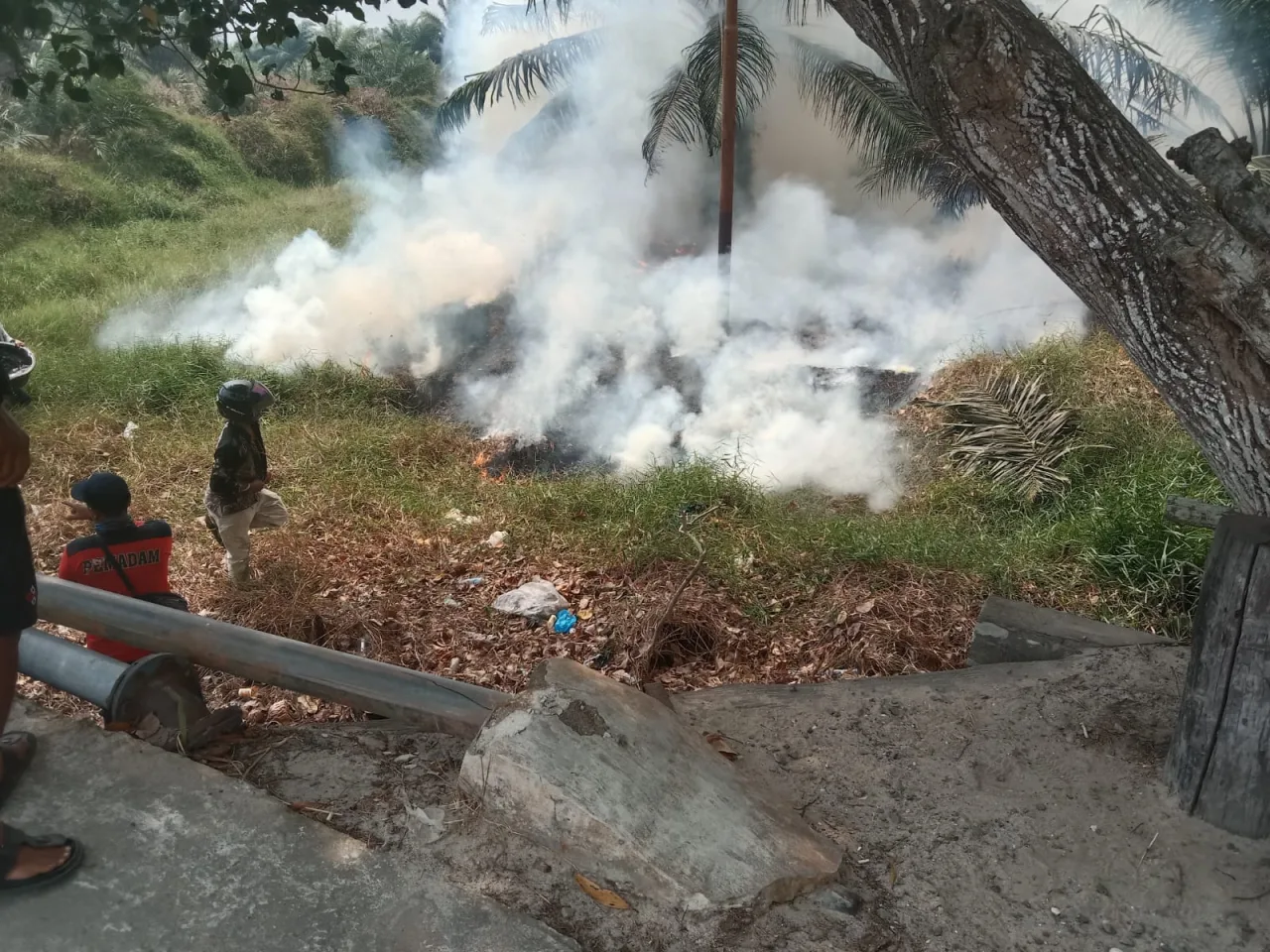 Karhutla di Perbatasan Kartamulia-Kampung Padang, Tim BPBD Sukamara Bergerak Cepat