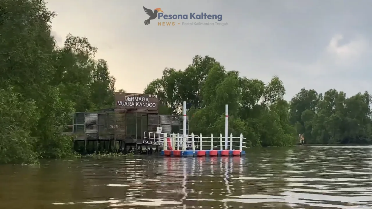 PULAU CURIAK!! SURGANYA PARA BEKANTAN HABITAT ASLI YANG MENEMPATI PULAU KALIMANTAN SELATAN