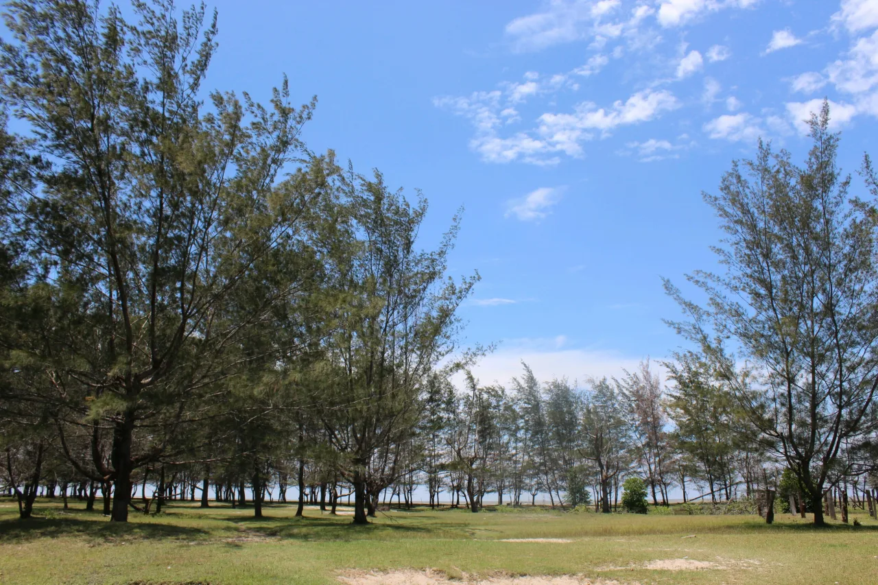 Wisata Pantai Sukamara Menjanjikan, Keindahan Alam Jadi Daya Tarik Pengunjung